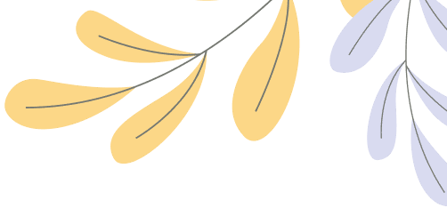 The best Kitchen Collection 2025